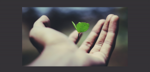 karierno-konsultirane-3